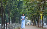 Ngắm những vòm cây đẹp như cổ tích ở Hà Nội